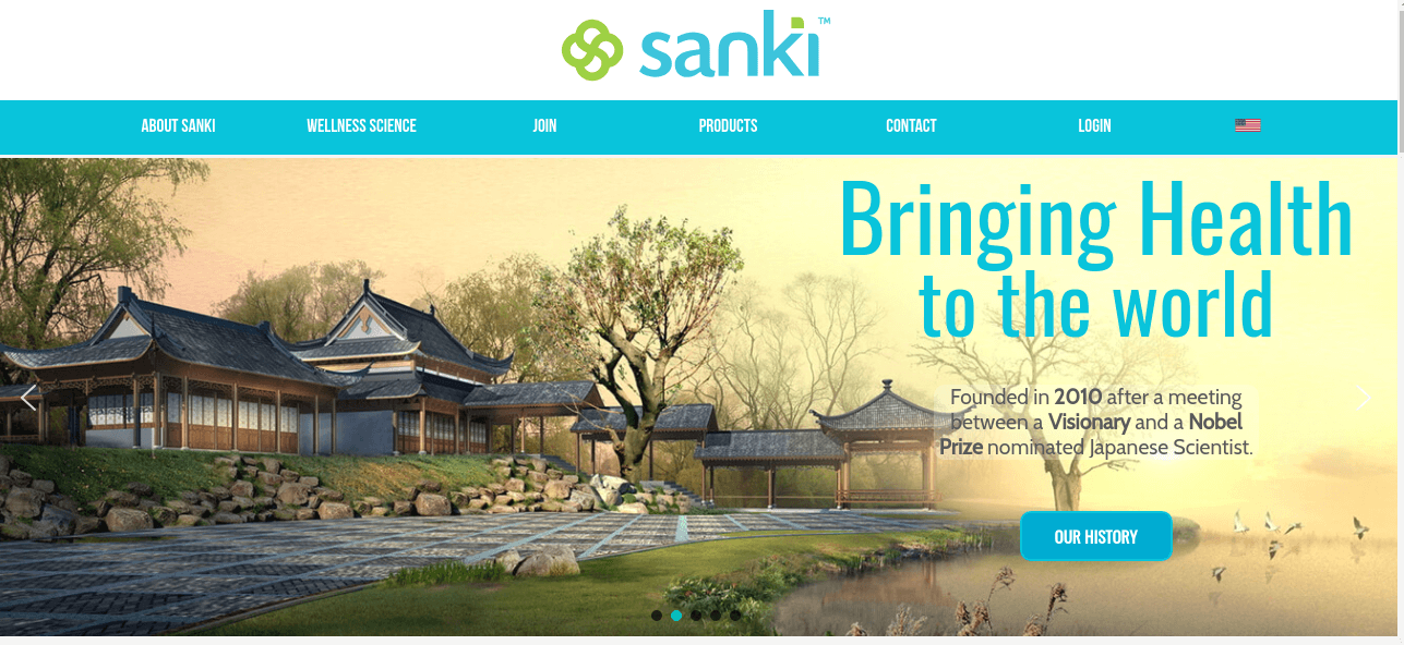 sanki global review website